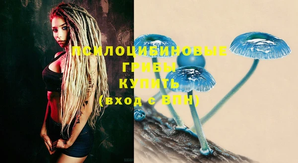 кокс Нея