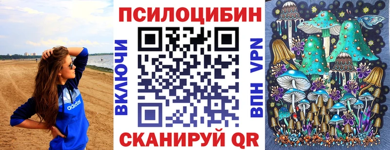 это официальный сайт  Анадырь  Псилоцибиновые грибы Psilocybe 
